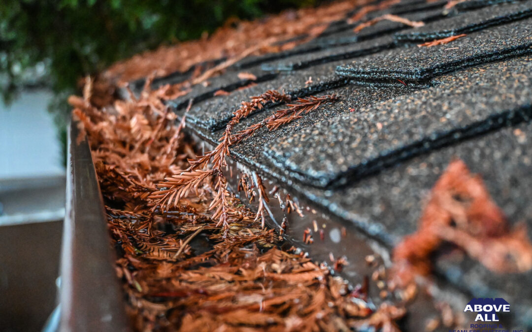 Keep Your Home Protected Year-Round with Above All Roofing’s Expert Roofing and Gutter Services