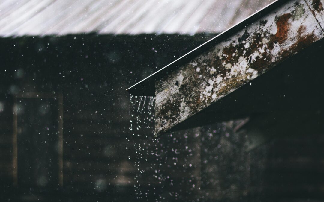 Kick Off the New Year with Seamless Gutters – Protect Your Home in Style