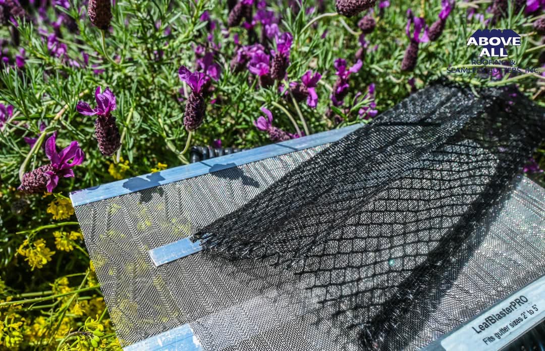 FB_IMG_1746598417103 March Roofing Guide: Protect Your Home with Above All Roofing in Vacaville